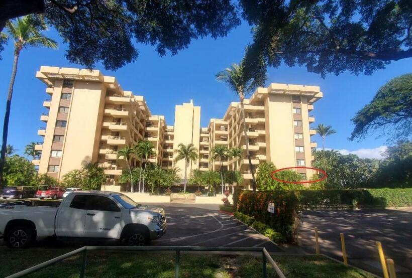 Апартаменты 1 Спальня Вид на Сад, Polo Beach Club