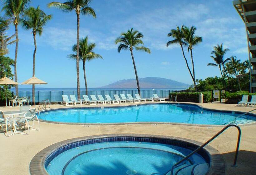 Апартаменты 1 Спальня Вид на Сад, Polo Beach Club