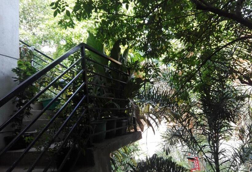 غرفة قياسية, Sacred City Tourist Resort