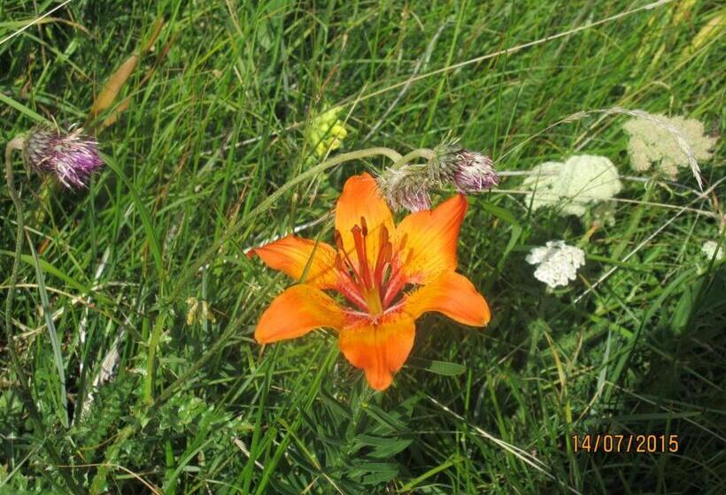 带阳台的三人标准间, Garni La Majon