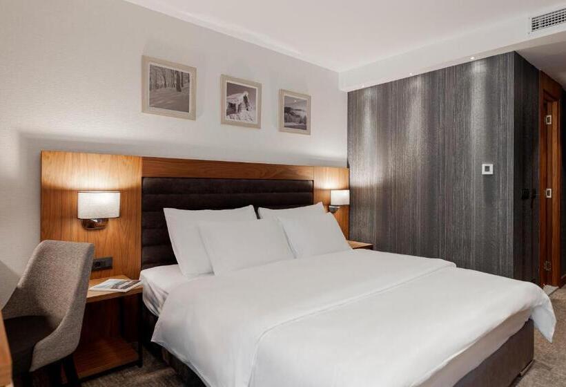 اتاق استاندارد, Grand Kopaonik