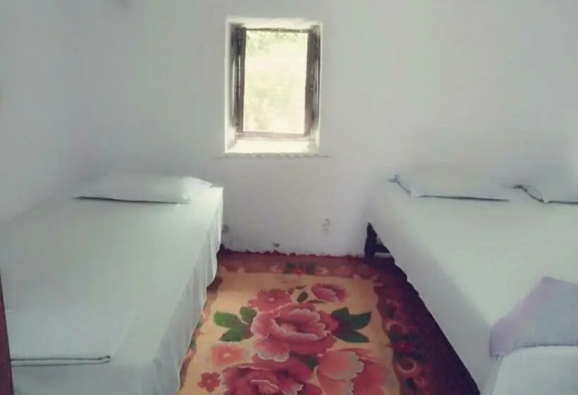 庭の見えるスタンダードトリプルルーム, Haveli Uma Megh Tourist Guest House