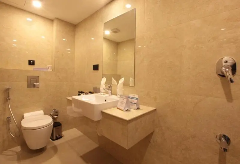 اتاق لوکس, Park Residency