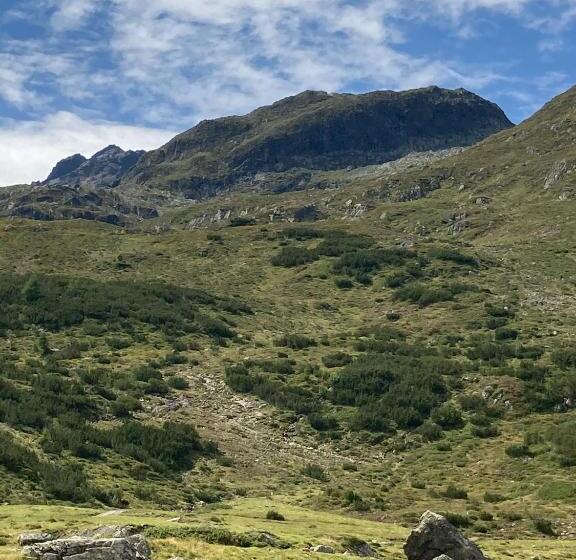 Апартаменты 1 Спальня с Балконом, Haus Montjola