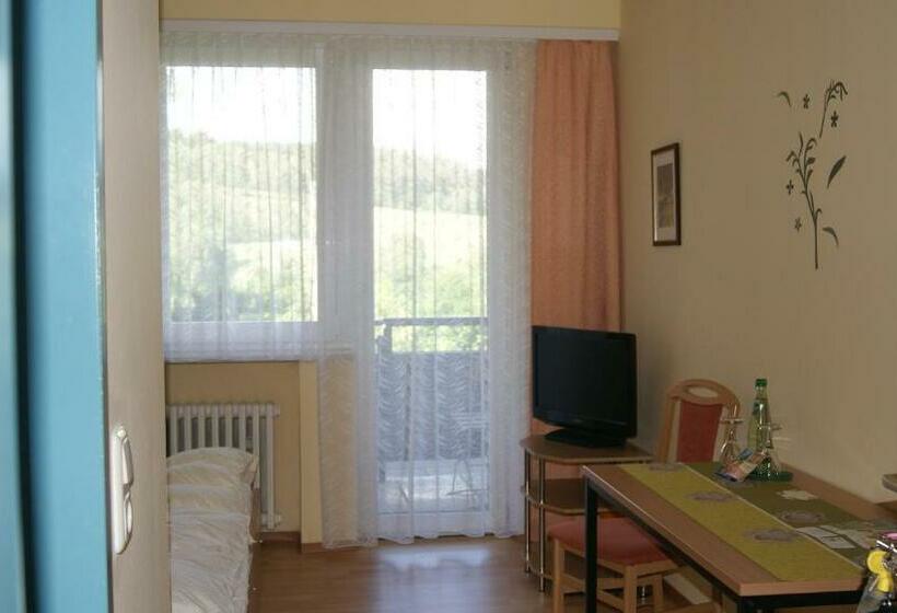 スタンダードシングルルーム, Carolaruh