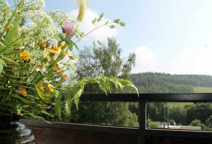 スタンダードルーム, Carolaruh