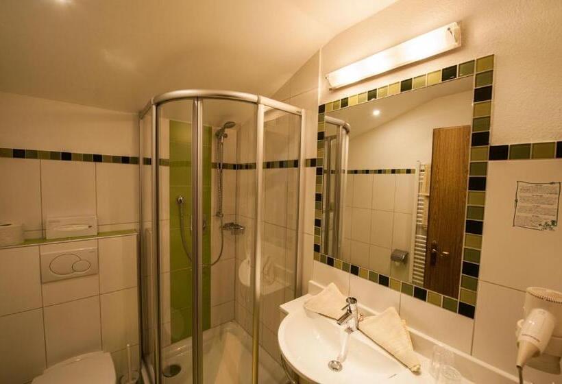 舒适两卧公寓, Rustika   Appartements & Spa