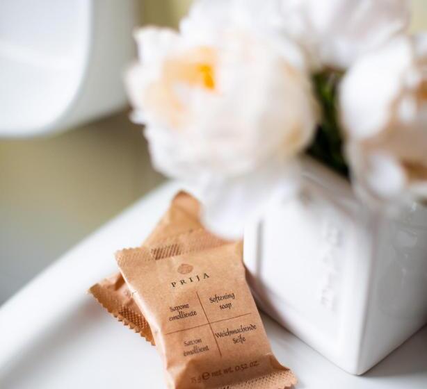 スタンダードトリプルルーム, Panorama