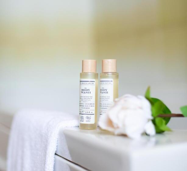 スタンダードルーム, Panorama