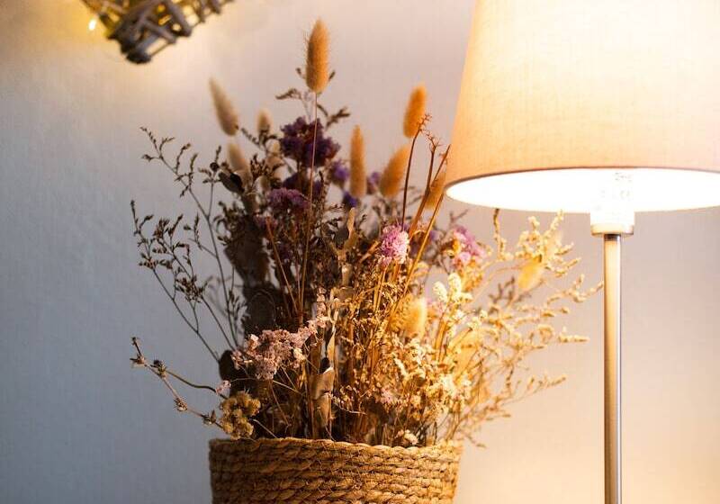 スタンダードルーム, Panorama