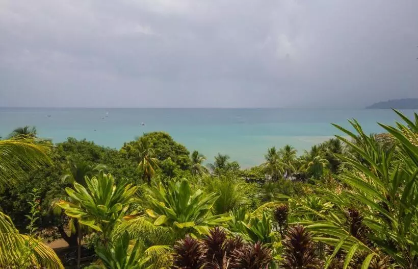 اتاق استاندارد, Rancho Corcovado