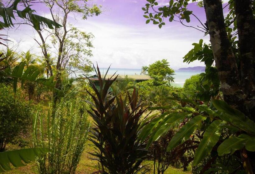 غرفة قياسية, Rancho Corcovado