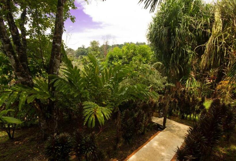 غرفة قياسية, Rancho Corcovado