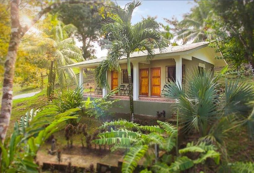 غرفة قياسية, Rancho Corcovado
