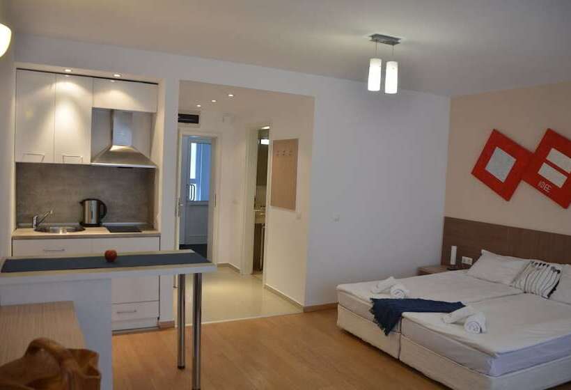 חדר סטודיו סטנדרד, Saint George Palace Apart