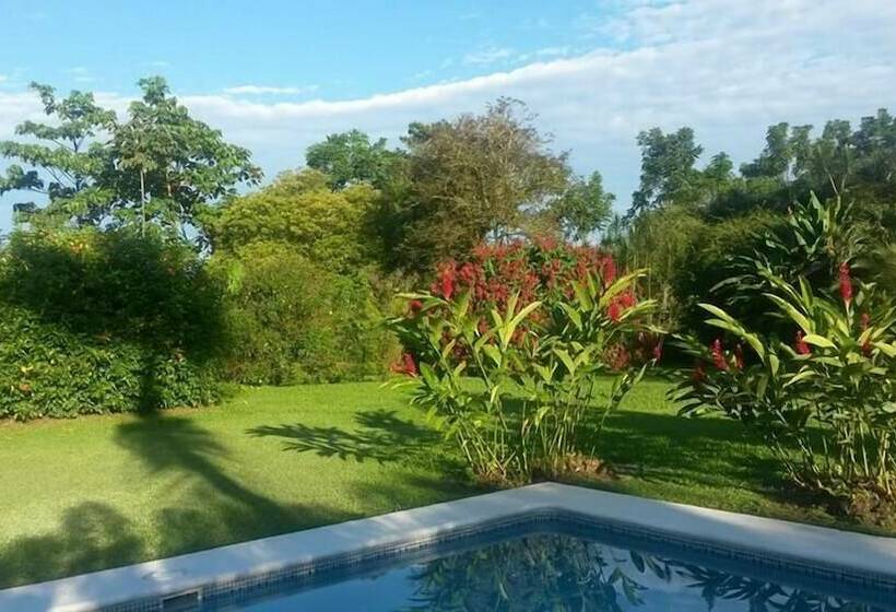 基本间, Tangara Arenal