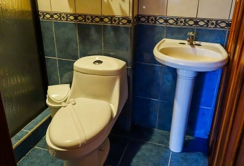 基本间, Tangara Arenal