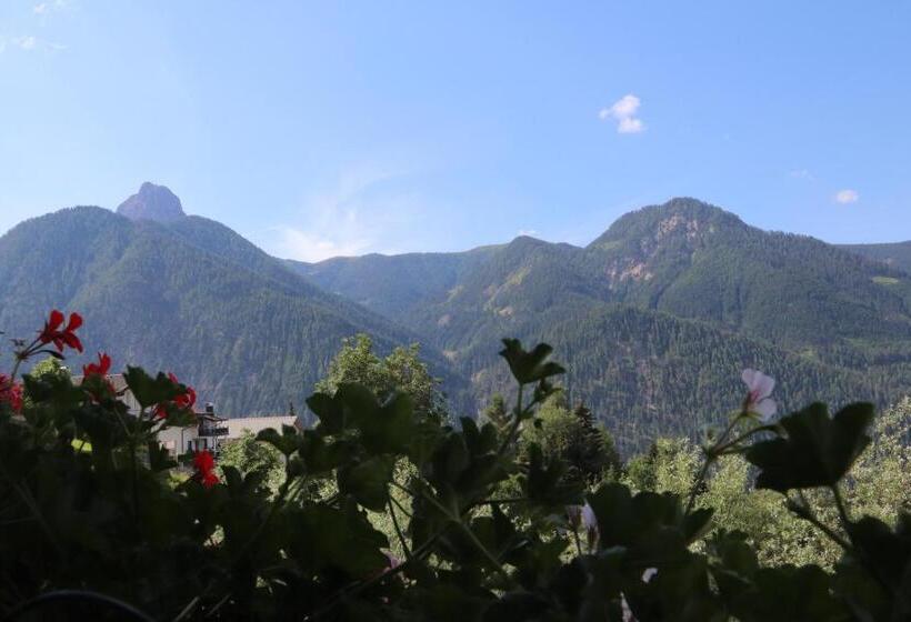 １ベッドルームアパートメント, Pension Bichlgeiger