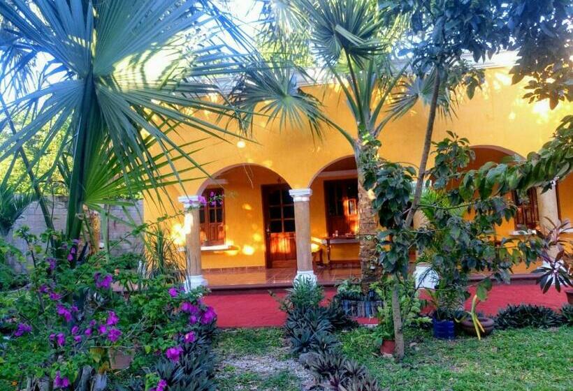 آپارتمان 1 خوابه همکف, Casa Palagui Colonial