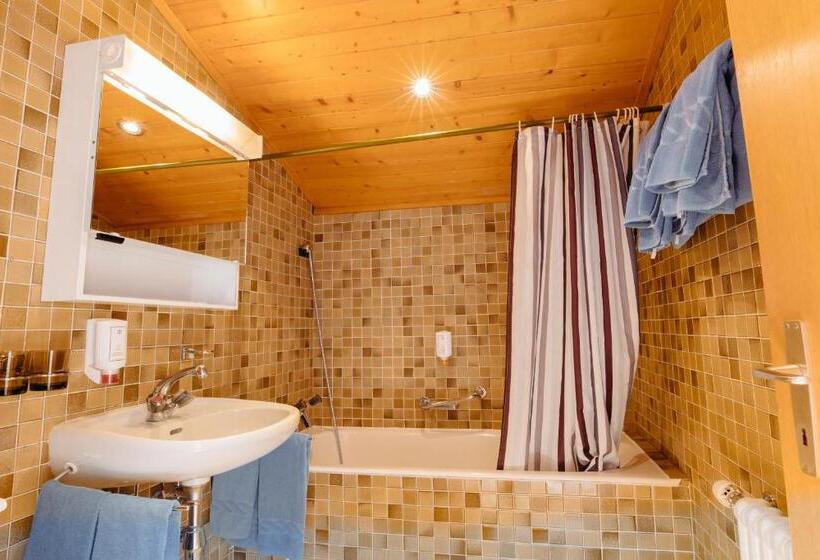 Номер Стандарт Вид на Горы, The Télécabine