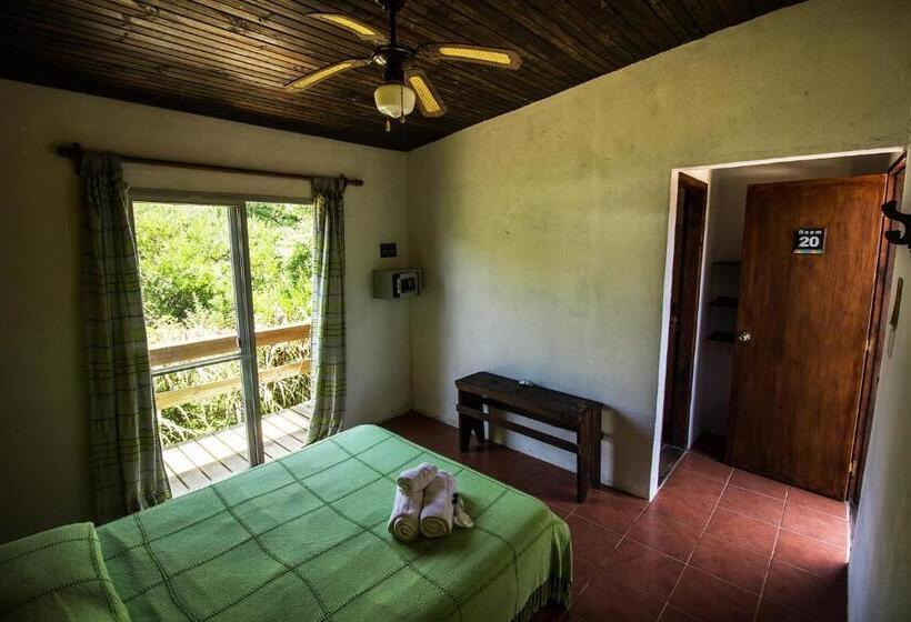 스탠다드 룸, Viajero La Pedrera Hostel
