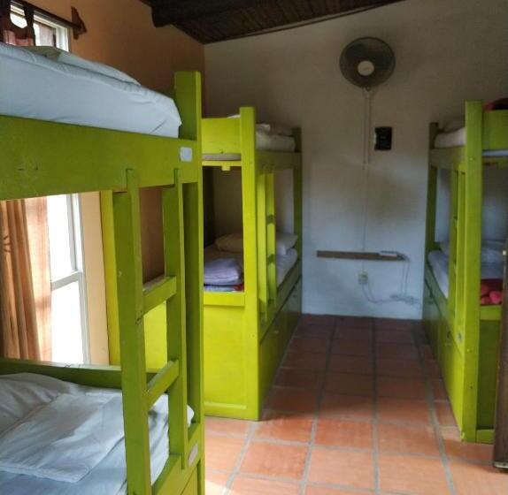 سرير فى غرفة مشتركه, Viajero La Pedrera Hostel