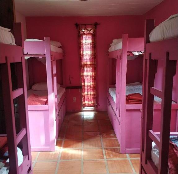 ルームシェアのワンベッド, Viajero La Pedrera Hostel