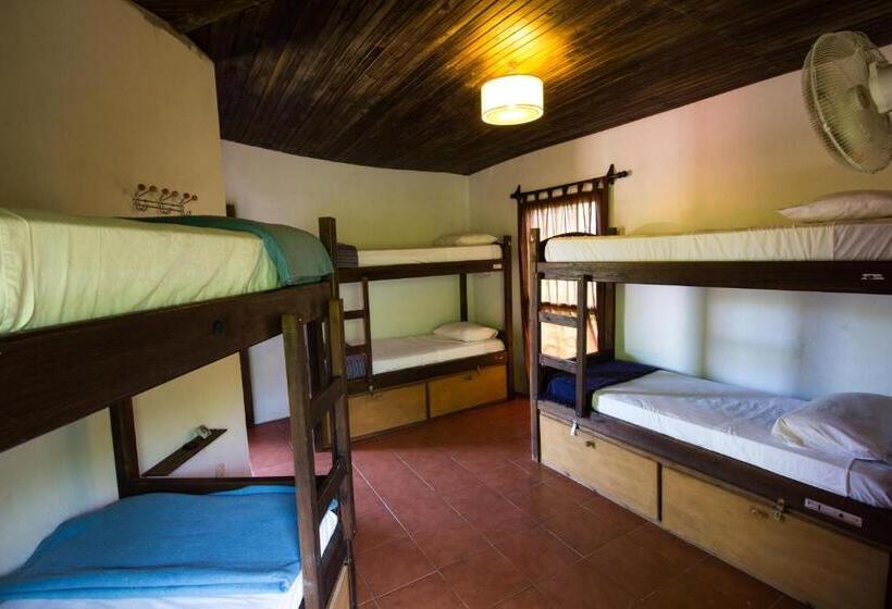 سرير فى غرفة مشتركه, Viajero La Pedrera Hostel