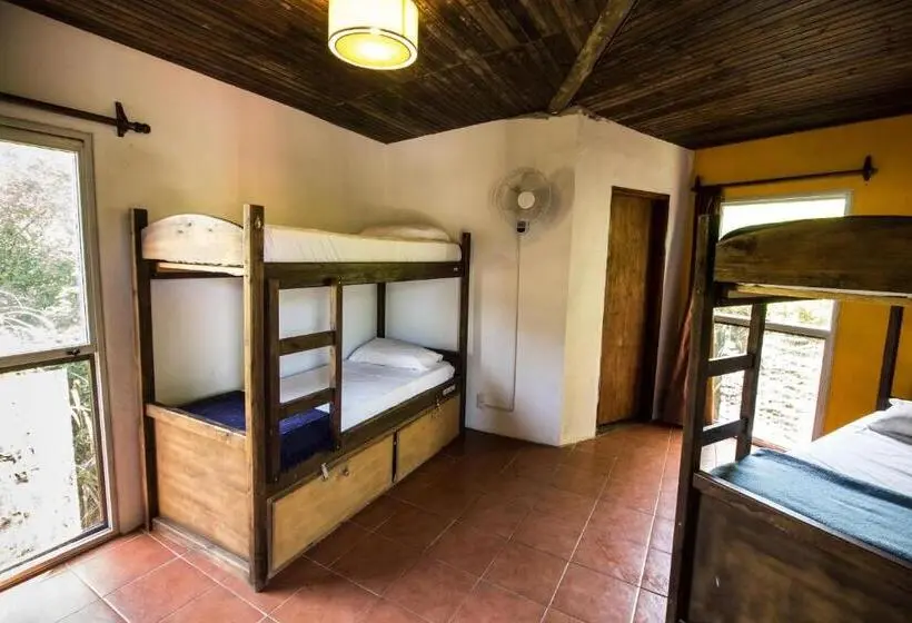 ルームシェアのワンベッド, Viajero La Pedrera Hostel
