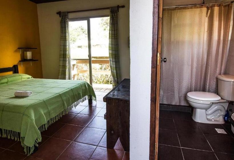 חדר סטנדרט יחיד, Viajero La Pedrera Hostel