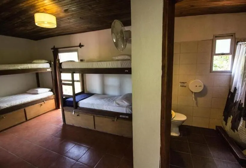 スタンダード４人部屋, Viajero La Pedrera Hostel