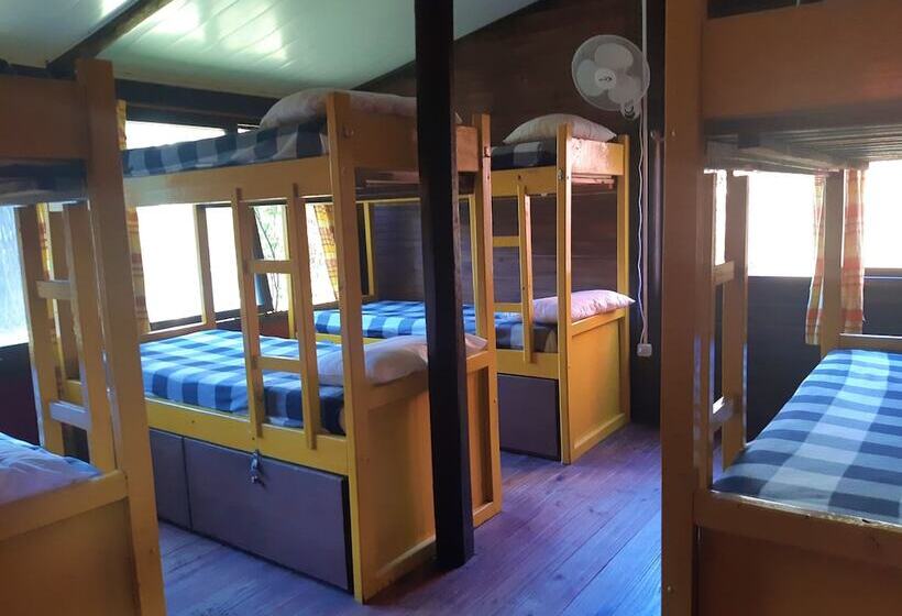공용 욕실 구비 공동 객실 내의 침대, Viajero La Pedrera Hostel