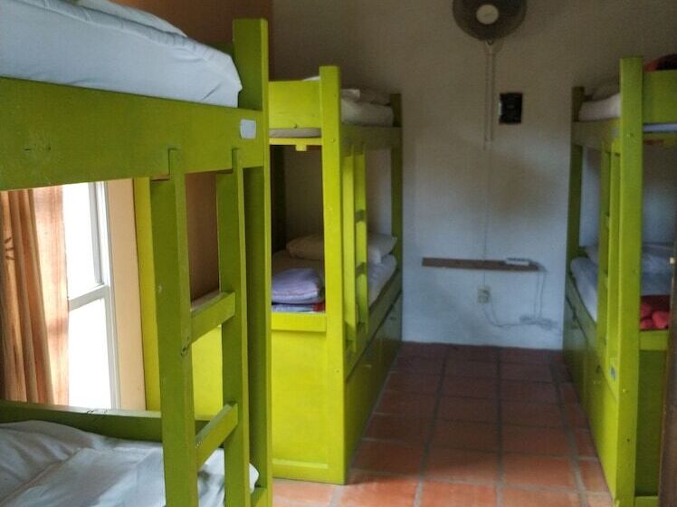 מיטה בחדר מעונות עם מקלחת משותפת, Viajero La Pedrera Hostel