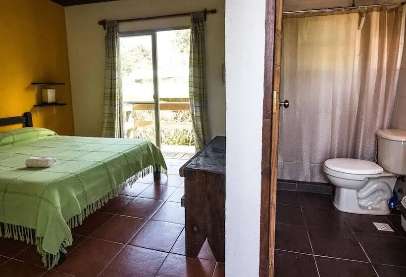 スタンダードシングルルーム, Viajero La Pedrera Hostel