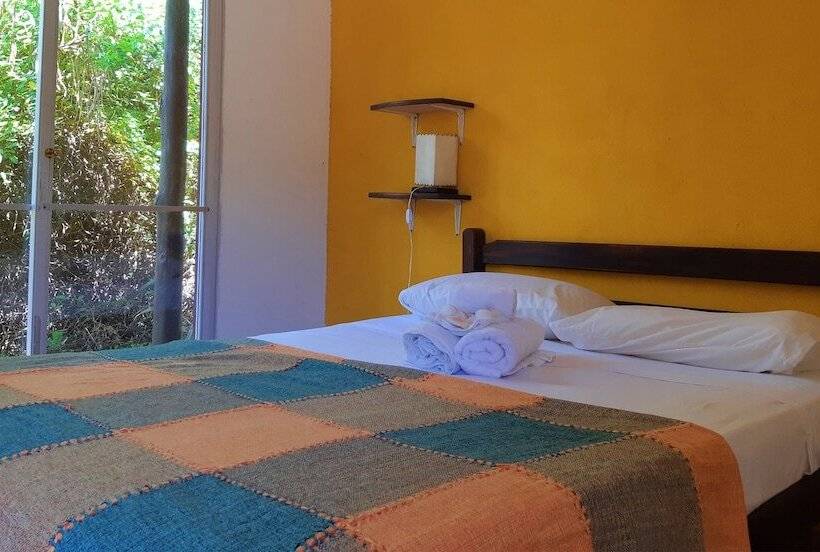 חדר סטנדרט יחיד, Viajero La Pedrera Hostel