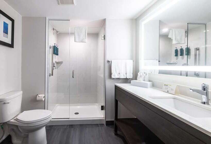스위트 킹사이즈 침대, Homewood Suites by Hilton Chicago Downtown / Magnificent Mile