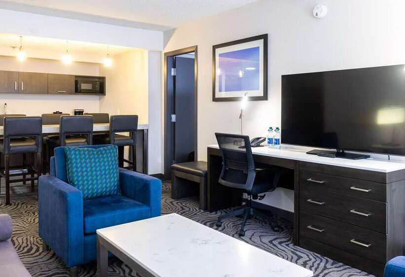 스위트 킹사이즈 침대, Homewood Suites by Hilton Chicago Downtown / Magnificent Mile