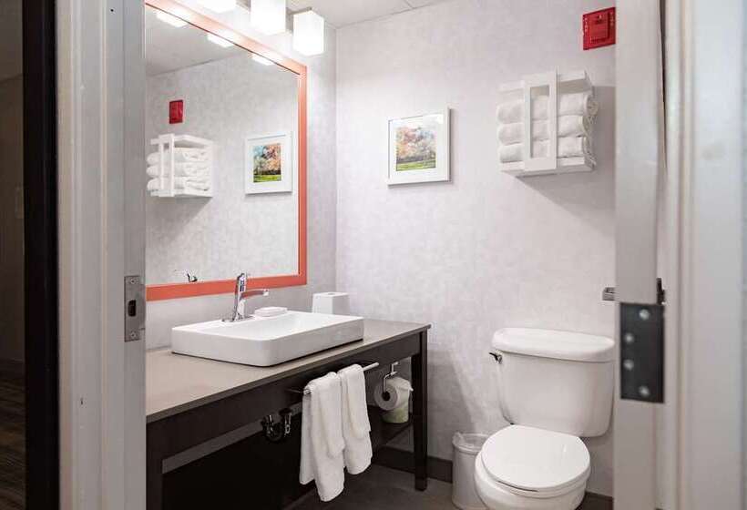 سوئیت با تخت بزرگ, Homewood Suites by Hilton Chicago Downtown / Magnificent Mile