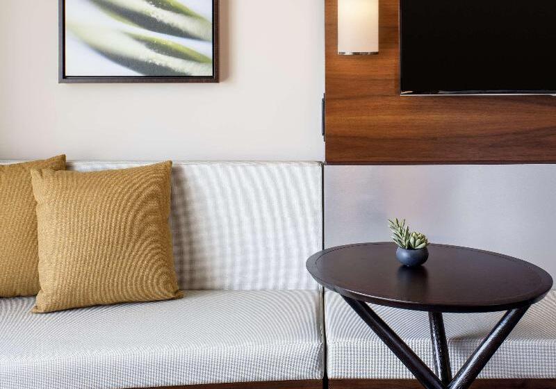 سوئیت با چشم‌انداز, Homewood Suites by Hilton Chicago Downtown / Magnificent Mile