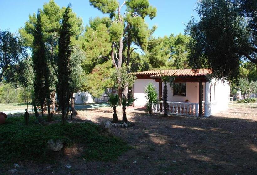 استودیوی استاندارد, Residence Emarine