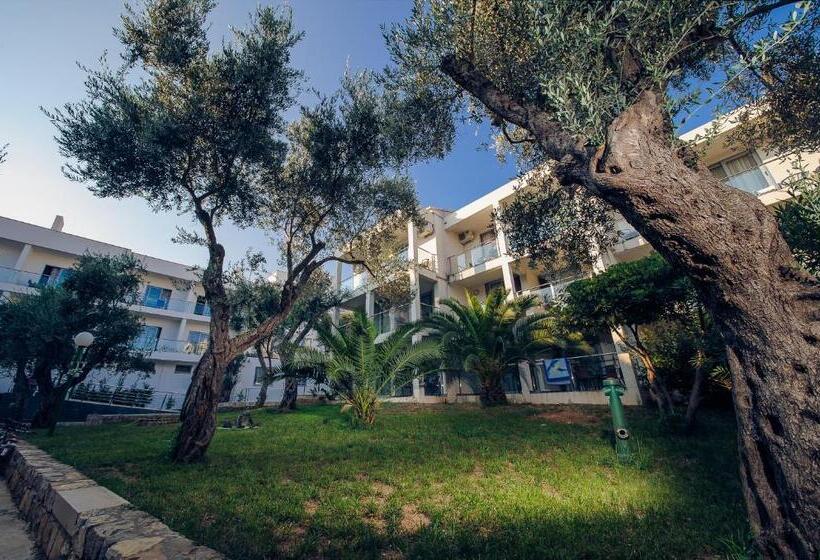 اتاق اکونومی, Vile Oliva Hotel & Resort