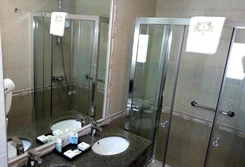 اتاق اکونومی, Vile Oliva Hotel & Resort