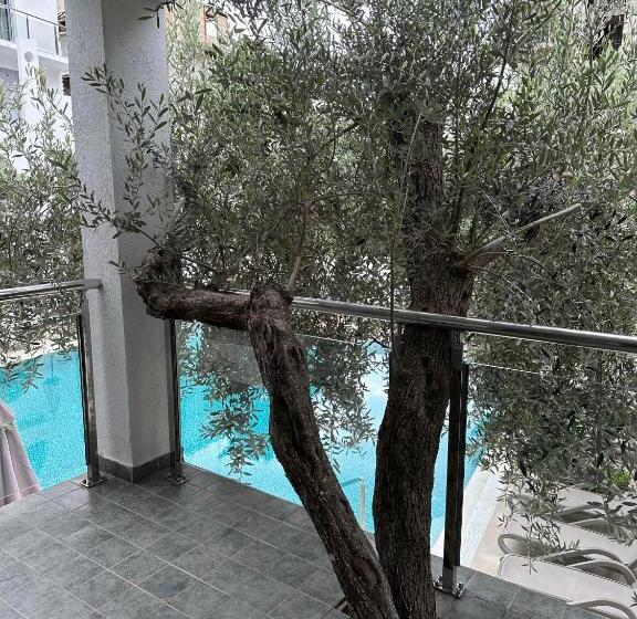 اتاق اکونومی, Vile Oliva Hotel & Resort