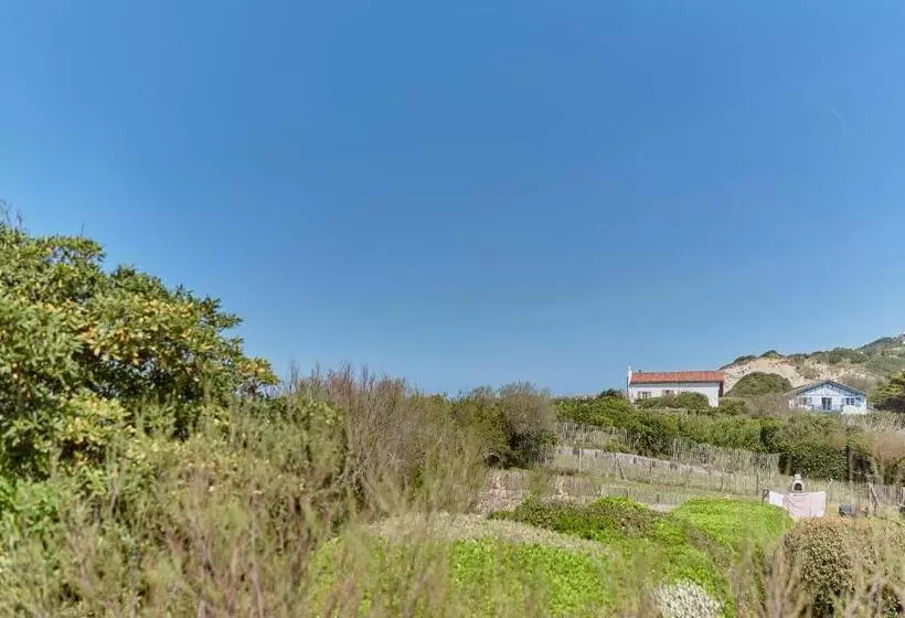 スタンダードシティビュールーム, Villa L'arche