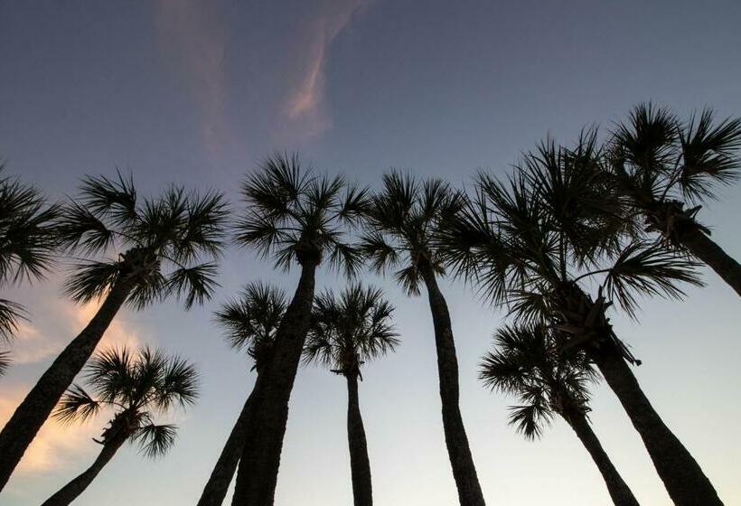 شقة 3 غرف, North Beach Village 27