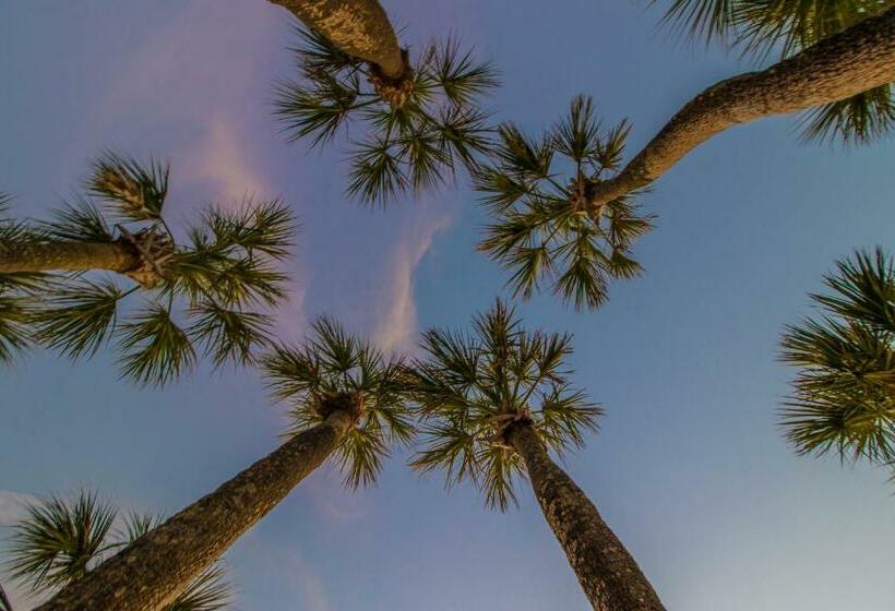 شقة 3 غرف, North Beach Village 27