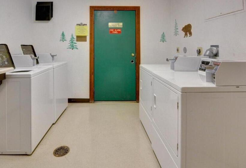 １ベッドルームアパートメント, Buffalo Village 306