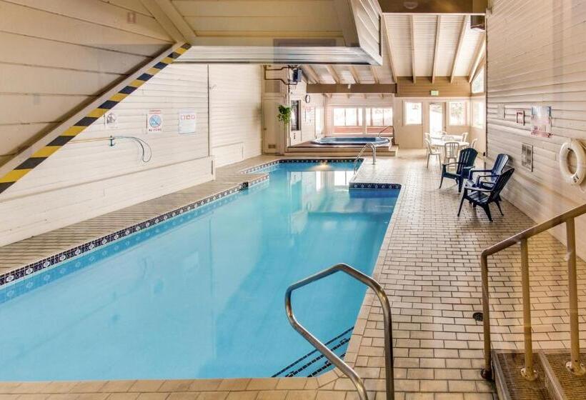 １ベッドルームアパートメント, Buffalo Village 306