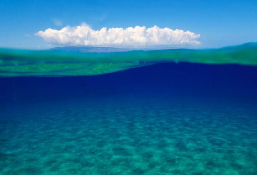 آپارتمان 2 خوابه, Kahana Villa E610