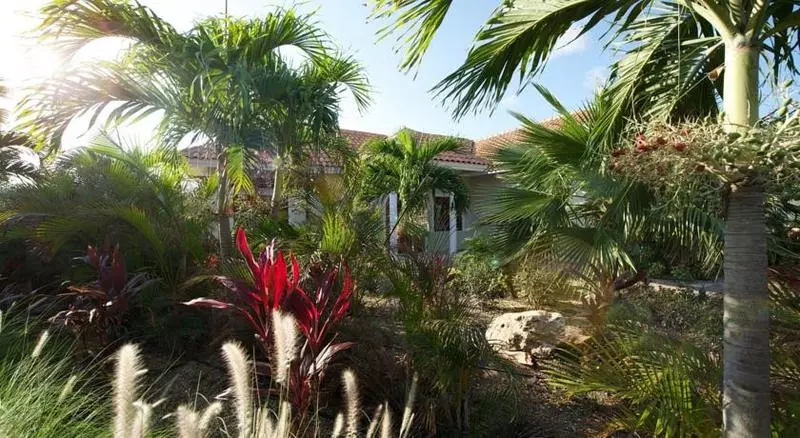 スリーベッドルーム　ヴィラ, Acoya Curacao Resort, Villas & Spa